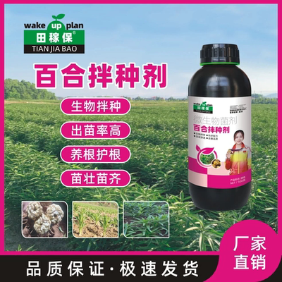 田稼保百合种植专用拌种剂