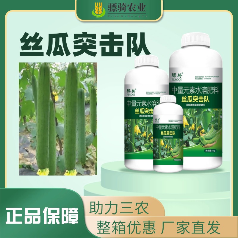 骠骑丝瓜突击队补充营养促进分化健壮植株提升品质叶面水溶肥