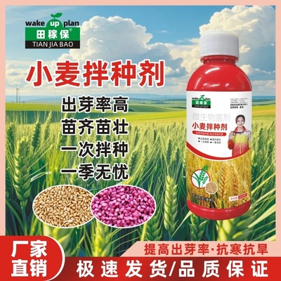田稼保小麦专用拌种剂