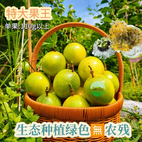广东百香果黄金钦蜜九号纯甜特大水果王生态种植5斤新鲜现摘包邮