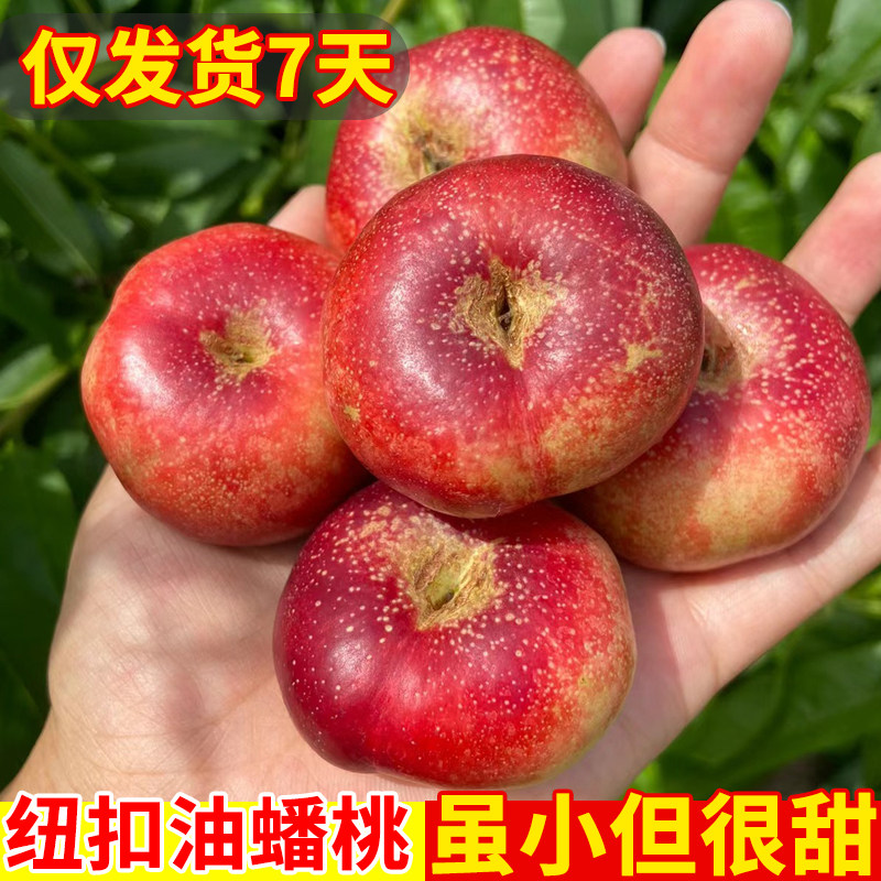 蒙阴纽扣蟠桃新鲜水果当季整箱油蟠桃孕妇水果蜜桃现摘桃子新鲜