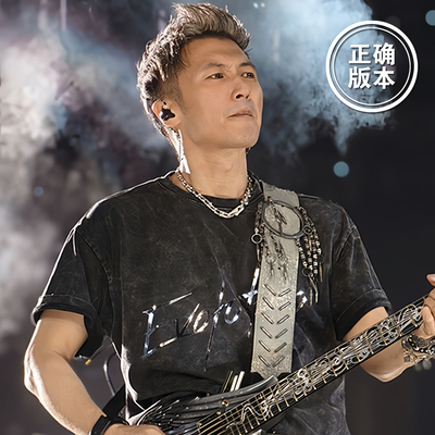 2025进化演唱会谢霆锋同款T恤