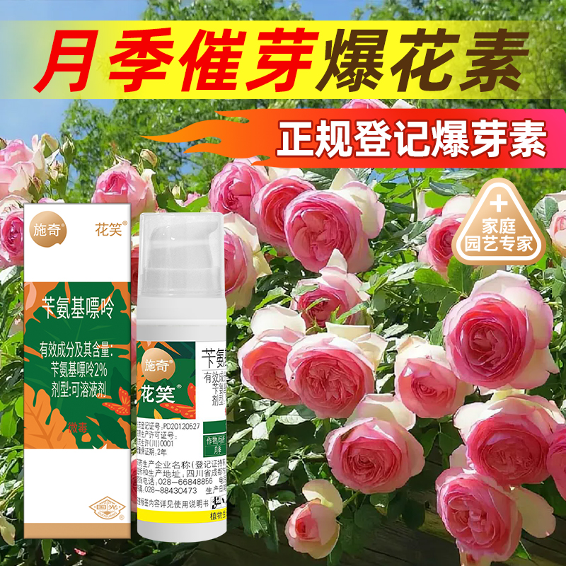 国光施奇花笑月季催芽素多苄氨基嘌呤肉优芽素植物花卉爆芽素花芽