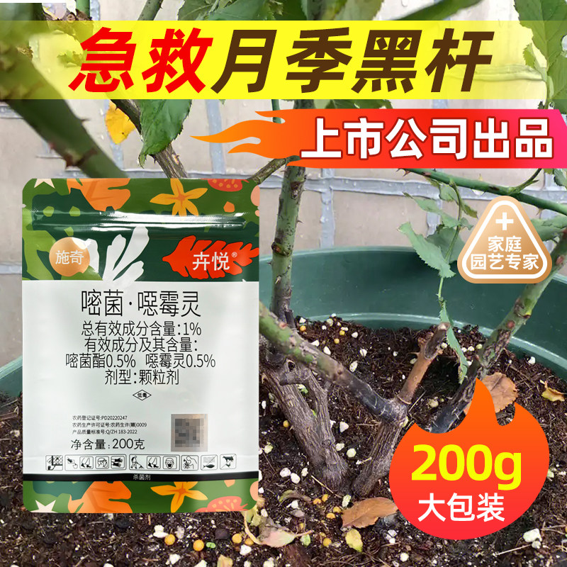 国光恶霉灵颗粒黑杆枯枝月季黑杆黑根铁线莲立枯病根腐病杀菌剂