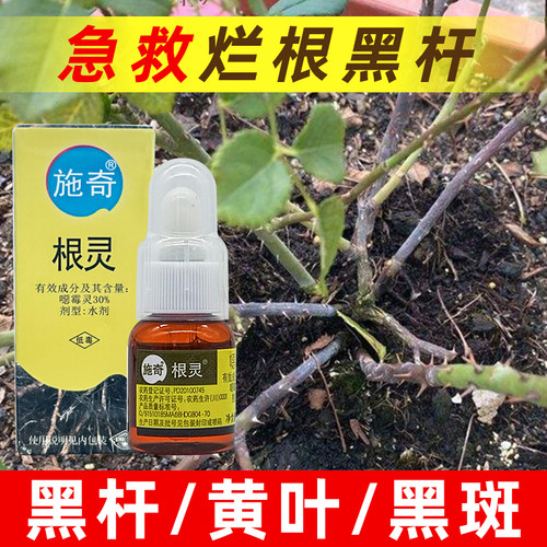 施奇精甲霜恶霉灵兰花多肉月季