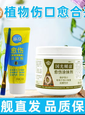 国光施奇伤口愈合剂树木月季兰花果金弹子盆景修剪嫁接涂抹愈伤膏