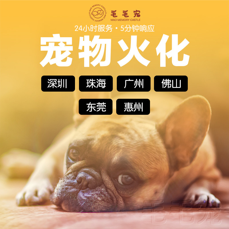 宠物殡葬珠海 广州 佛山 东莞 深圳  惠州猫猫狗狗火化服务毛毛宠