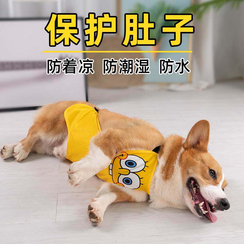狗狗衣服护肚子肚兜柯基夏季薄款宠物小型犬雨衣小狗用品法斗背心