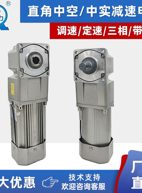 台力直角减速电机220v小型380v中空/中实齿轮调速马达一体25-750W
