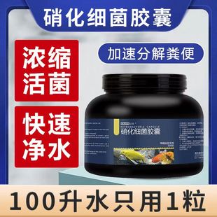 硝化细菌鱼缸用水族箱硝化菌胶囊消化干粉龙鱼专用活菌锦鲤净水剂