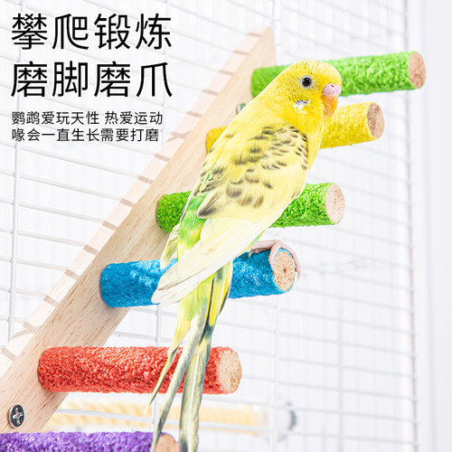 承希鹦鹉专用爬梯，各种尺寸