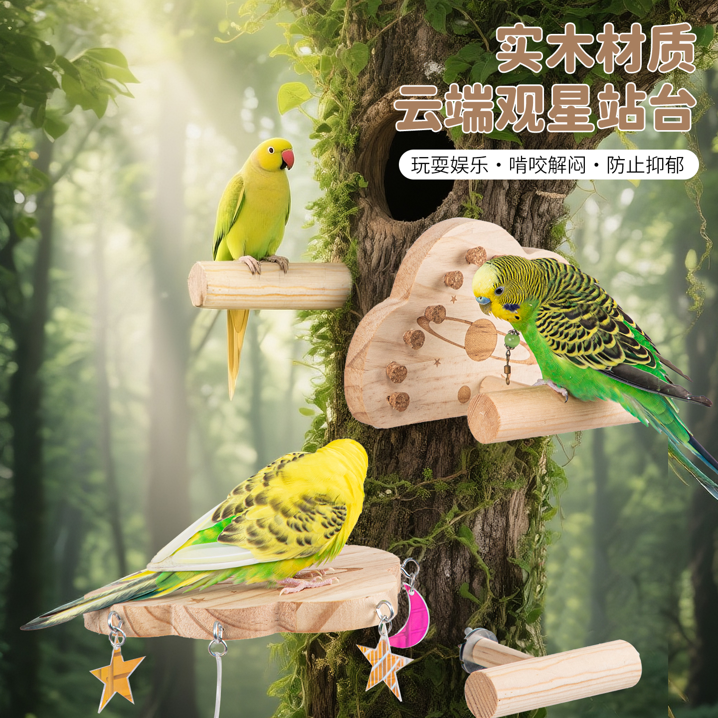 承希鹦鹉云朵观星实木站台