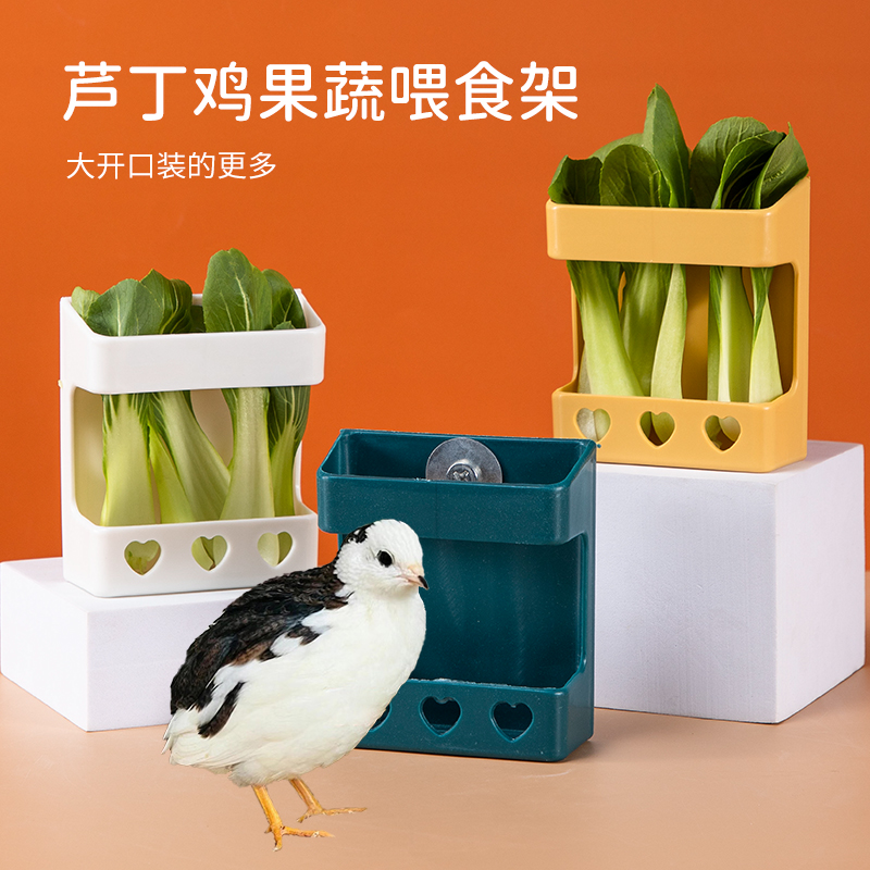 承希鹦鹉喂蔬菜架子墨鱼骨架