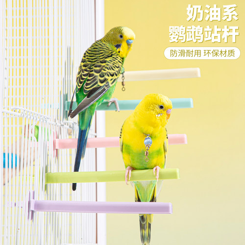 奶油色塑料小鸟站杆鹦鹉站棒