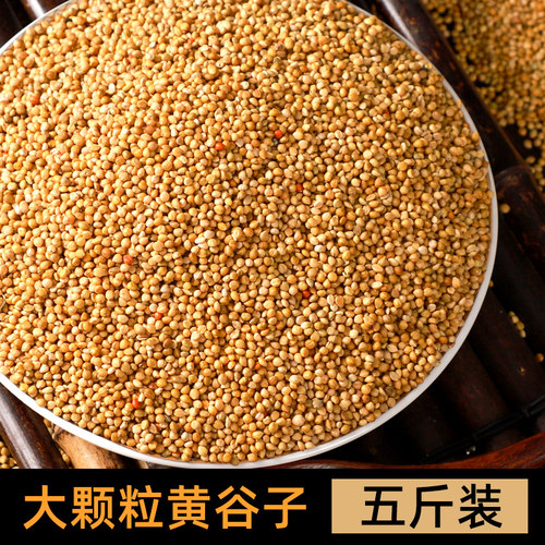 黄谷子带壳小米5斤粮食虎皮牡丹玄凤鸟粮食物鸟食小型鹦鹉鸟饲料 - 封面
