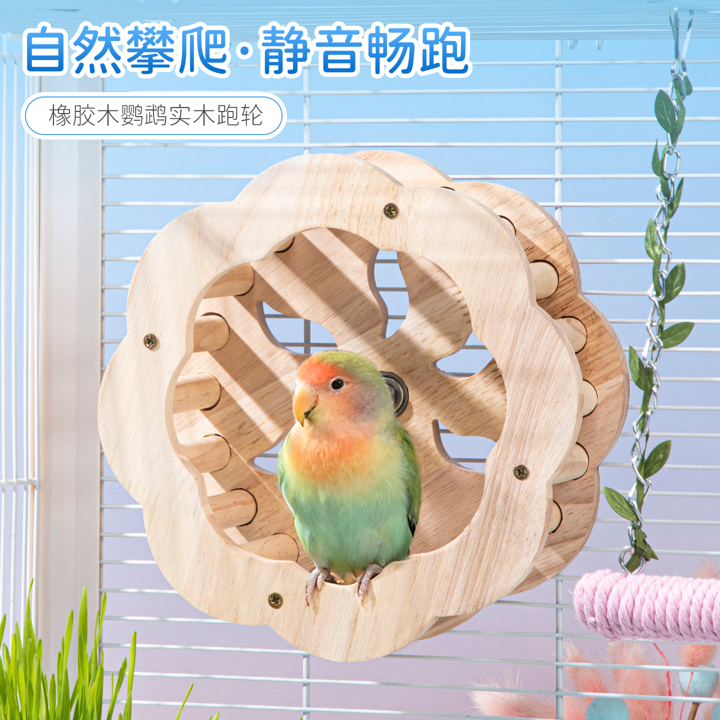 实木鹦鹉跑轮，玩出精彩