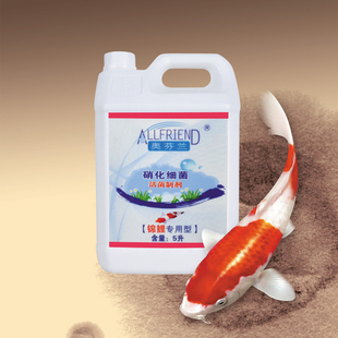 锦鲤鱼池硝化细菌鱼缸用消化菌水族专用池塘澄清澈奥芬兰净水剂
