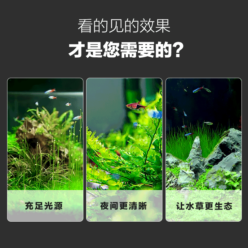 鱼缸灯爆藻水草缸灯led全光谱合金支架筒灯桶灯吊灯水族箱流溪缸