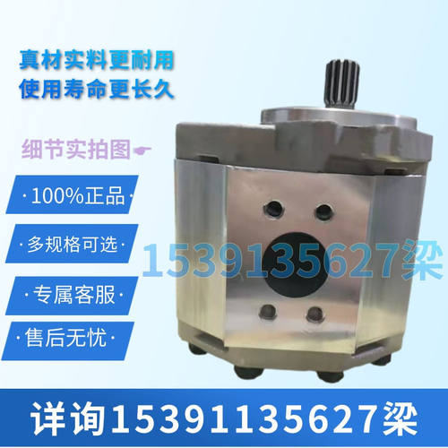 合肥赛源液压齿轮油泵CBQ