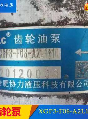 合肥协力液压齿轮油泵XGP3-F10-ALP XGP3-E16/18/20CFP F04/06/12