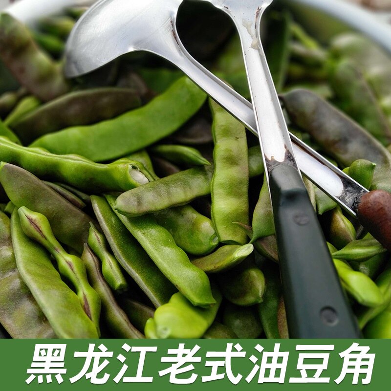 可省1元 中早熟东北油豆种子一点红油豆角将军豆春季夏季秋季播高产抗病