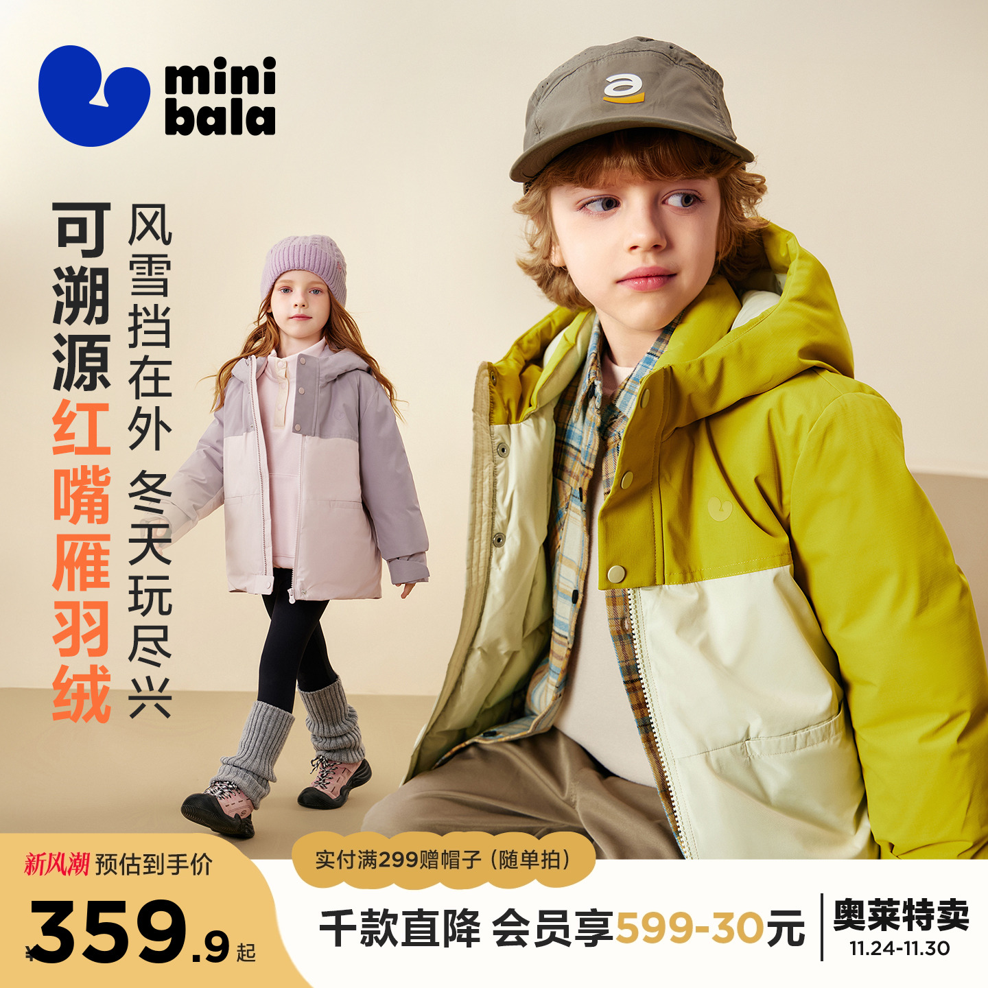 可溯源红嘴雁绒，高标清洁，暖力出众