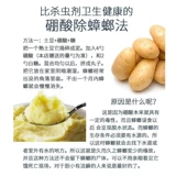 Борорная кислота порошок для таракана -медицины картофельный пюре из кухни домашнее гнездовое ингибирующее раствор влажную кожу и внешнее использование боры бора