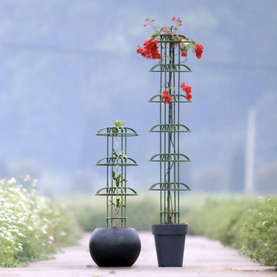 多层植物爬藤架园艺花架三层花卉支架嫁接蟹爪兰花架子蟹爪莲