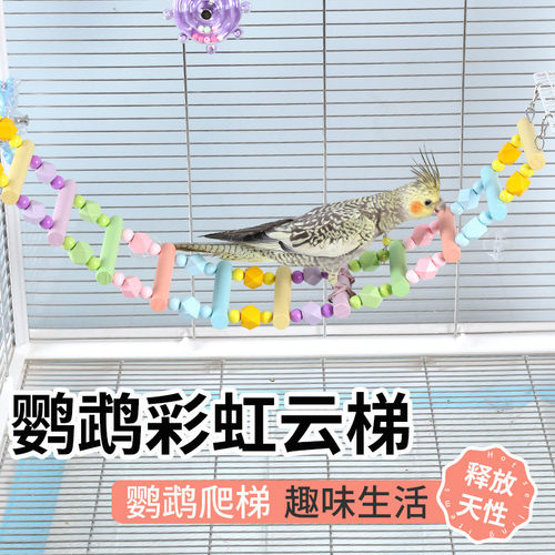 宠物鹦鹉秋千专用玩具梯子云梯玄凤八哥攀爬磨爪鸟笼吊环