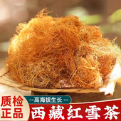 西藏野生红雪茶 旗舰店鹿心血高原金丝红茶红血茶 功效非特级正品