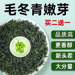 毛冬青的功效嫩芽青山绿水茶叶中药材毛东清非云南野生茶东旗舰店