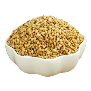 柏子仁中药材500g 柏子仁茶 柏子仁粉 柏子仁枕头 柏子仁中药