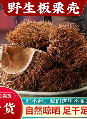 板栗壳中药材1000g野生板栗刺壳球栗风栗壳刺粟子刺壳栗子壳中药