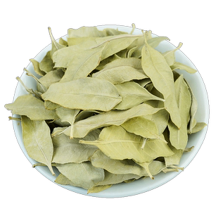 罗布麻叶中药材500g克正品新货罗布麻野生新疆新鲜干货罗布麻叶茶