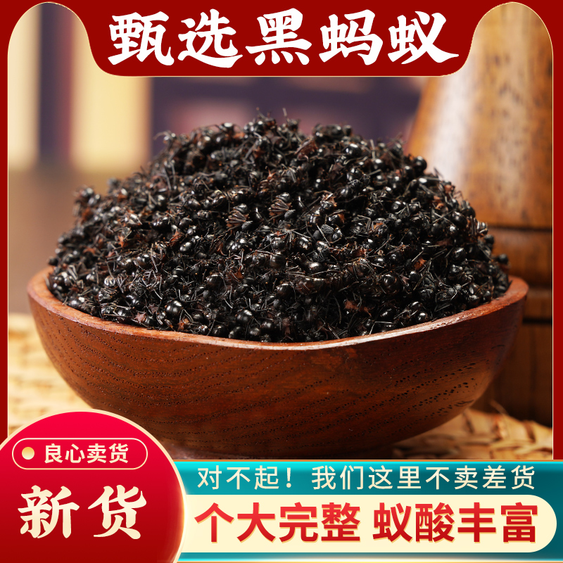 黑蚂蚁中药材100g克正品新货蚂蚁可泡酒长白山山蚁野生大黑蚂蚁干