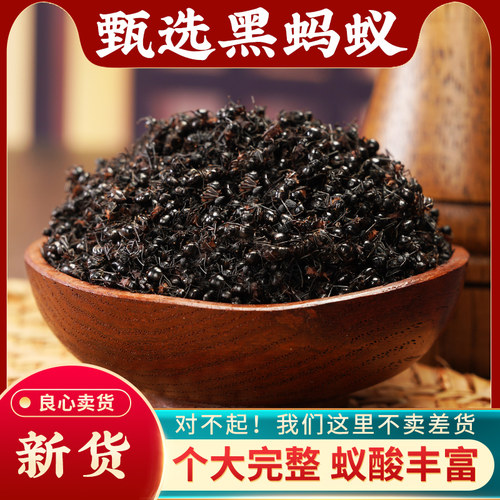 黑蚂蚁中药材100g野生新货正品