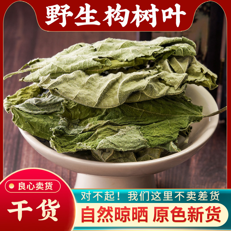 构树叶中药材500g楮构桃叶草药新鲜褚树叶泡洗澡谷树叶子构树叶茶