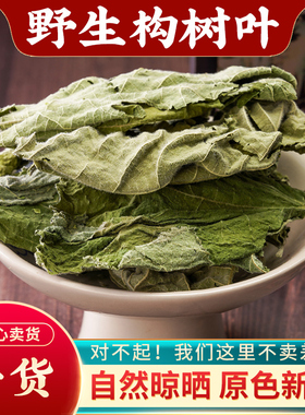构树叶中药材500g楮构桃叶草药新鲜褚树叶泡洗澡谷树叶子构树叶茶