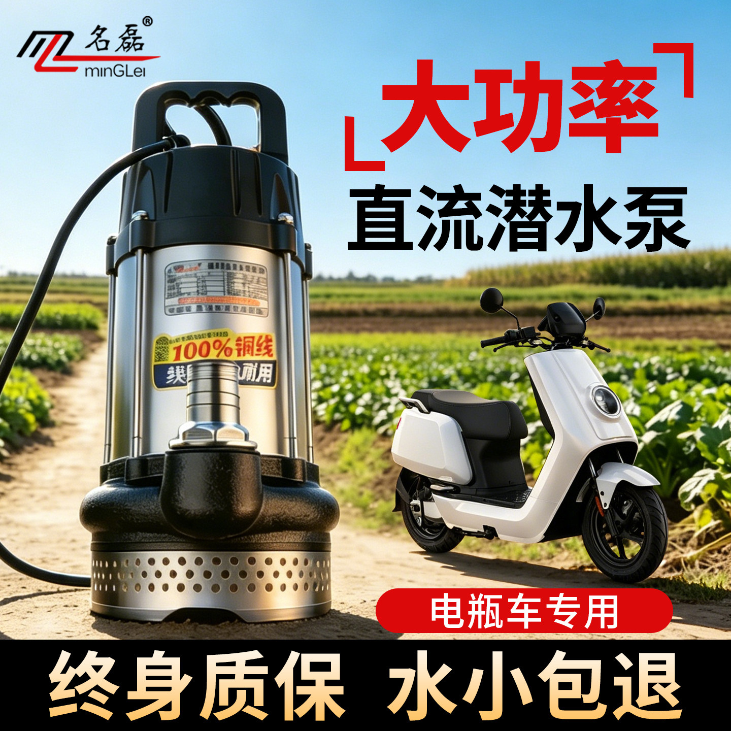 无刷电瓶车专用抽水泵48v60v72v电动车抽水泵直流潜水泵浇菜灌溉