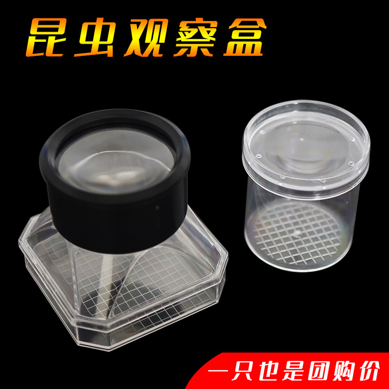 苏学昆虫观察盒方形3倍放大镜