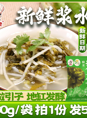 甘肃特产浆水酸菜天水芹菜苦苣蒲公英浆水引子自制定西袋装兰州