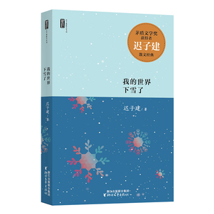 我的世界下雪了 迟子建散文系列 额尔古纳河右岸作者迟子建著 中国现当代散文随笔传记名家经典作品选集 中学生读本正版文学书籍