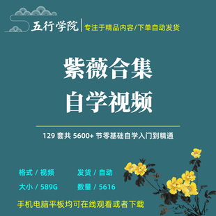紫薇抖擞多套自学视频合集从入门到精通