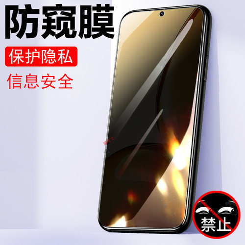 真我v60s/rmx3995/3996防偷窥膜