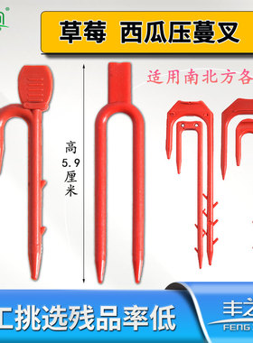 草莓西瓜育苗叉压蔓器压苗叉藤蔓植物固定器压蔓生根定植叉滴管叉