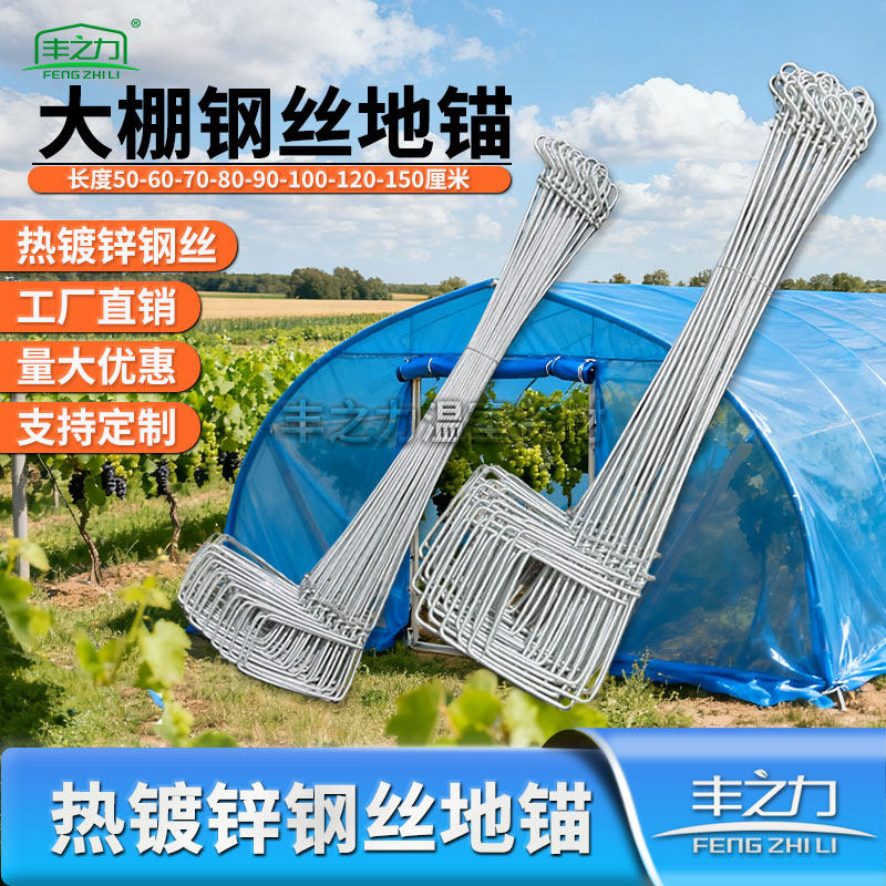 温室大棚钢丝地锚地桩螺旋地锚地钩拉线地锚热预埋地锚高强度包邮