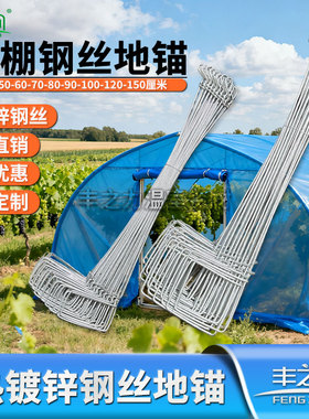 温室大棚钢丝地锚地桩螺旋地锚地钩拉线地锚热预埋地锚高强度包邮