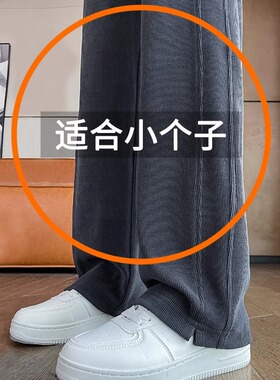 雪尼尔阔腿裤女秋冬新款加绒裤子窄版直筒裤小个子显高垂感香蕉裤