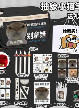 给我买!~抽象小猫笔袋套装男孩笔袋男生黑科技歪嘴小猫meme笔袋小学初中女生男孩搞笑多功能丑萌2026超火新款