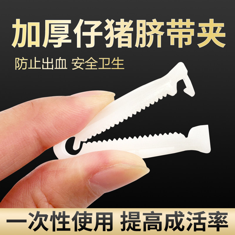 加厚一次性仔猪脐带夹防出血